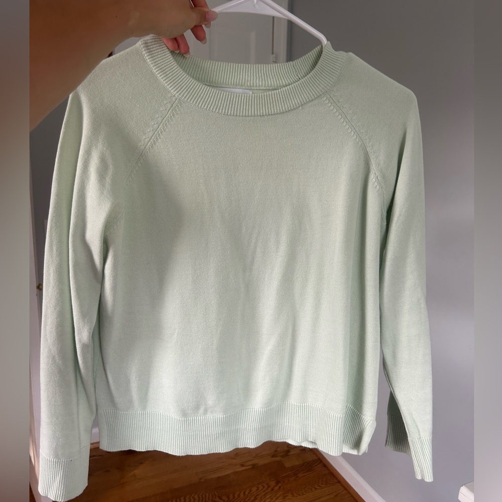 Mint Zara Sweater